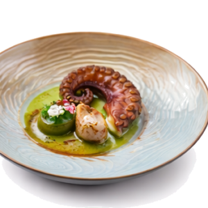 STARTER - Octopus